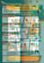 design face book image ads video ads and flyers