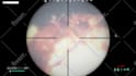 edit your valorant, cs2, cod or any game montage