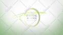 create a elegant nature logo animation with full HD