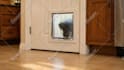 create realistic, stunning ai videos for your any idea