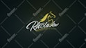 create a professional custom logo animation and youtube intro