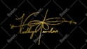 create animated handwritten signature or text logo animation