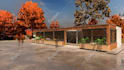create architectural and framing plans of wooden structures
