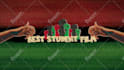 create professional motion graphics and video ads