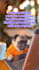 create viral meme instagram reels
