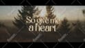 create a professional looking lyric video for your song