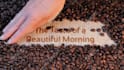 make coffee video intro in full hd