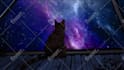 create loop animation for music video and streamers