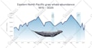 create engaging chart animation and data visualization for explainer videos