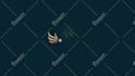create 2d or 3d custom logo animation