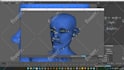 3d model rigging 3d character rig weight paint blendshape, facial rigging, uefn