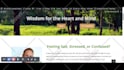 fix wordpress bugs, responsive issues, plugins and widgets