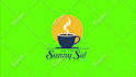 create eye catching custom logo animation intro