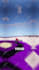 create a viral minecraft tiktok for your server