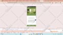 fix wordpress issues related to html, css, js woocommerce elementor landing page