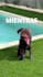 editar tus reels para redes sociales