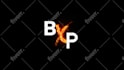 do custom logo animation and motion graphics