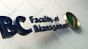 create a professional custom made 3d logo animation for you
