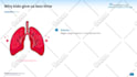 redesign your powerpoint presentation into a visual delight