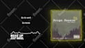 make clean audio spectrum or music visualizer with lyrics