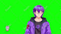 create express custom high quality vtuber model live2d vtuber rigging