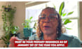 be your professional youtube video editor