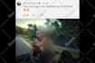 blur faces, object , logo or anything in your videos