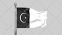 be doing a 3d animation of the flag