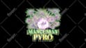 animate logo intro videos animation intro youtube videos