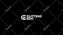 create a custom professional logo animation