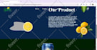 website design or customize wordpress website