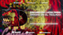 create 9 music visualizer or audio visualizer for instagram or youtube