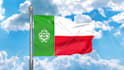 be doing a 3d animation of the flag