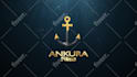 design professional custom logo animation