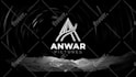 create a stunning custom logo animation or video intro