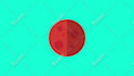 do professional motion design for you