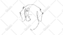 draw and animate line art