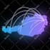 create custom 2d animation and motion graphics video