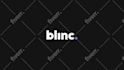 design a polished logo animation tailored to your brand