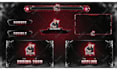 design professional animated obs overlay, twitch package, logo, kick stream