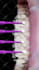 do a professional video editing on your dental cases