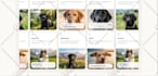 develop or fix lovable ai web apps, saas mvp, vibe coding, replit ai, loveable