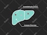 create custom animated gifs for you