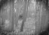 edit your analog horror vhs tape video