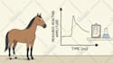 make engaging stickman explainer animation youtube video