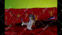 manufacture epic puppet video