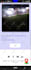 build bubble io saas mvp app bubble website developer, bubble saas mvp developer