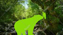 animate your pictures and photo and bring them to life