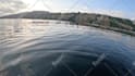 do cinematic 360 video editing, insta360 and gopro