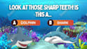 create entertaining and educational rhymes for kids